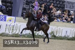 25R13_13409 thumbnail