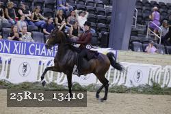 25R13_13410 thumbnail
