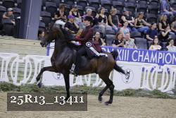 25R13_13411 thumbnail