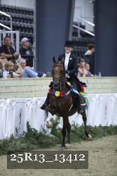 25R13_13412 thumbnail