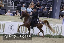 25R13_13416 thumbnail
