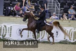 25R13_13417 thumbnail