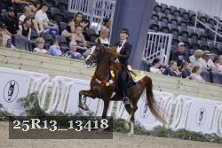 25R13_13418 thumbnail