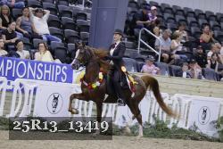 25R13_13419 thumbnail