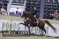 25R13_13423 thumbnail