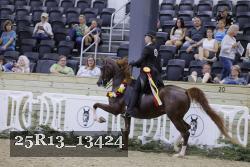 25R13_13424 thumbnail