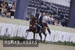 25R13_13425 thumbnail