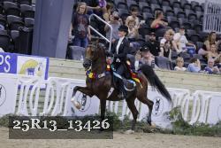 25R13_13426 thumbnail