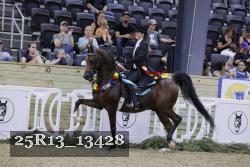 25R13_13428 thumbnail