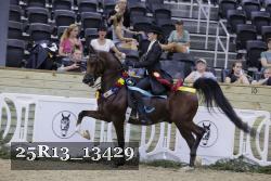 25R13_13429 thumbnail