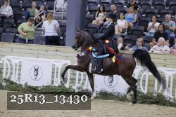 25R13_13430 thumbnail