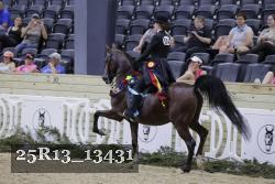 25R13_13431 thumbnail
