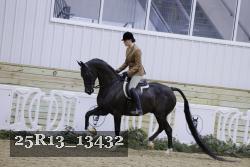 25R13_13432 thumbnail
