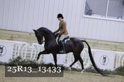 25R13_13433 thumbnail