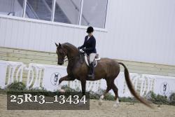 25R13_13434 thumbnail