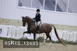 25R13_13435 thumbnail