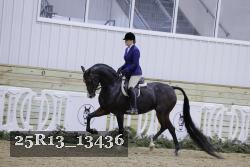 25R13_13436 thumbnail