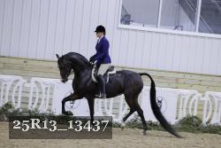 25R13_13437 thumbnail