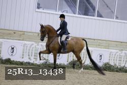 25R13_13438 thumbnail