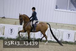 25R13_13439 thumbnail