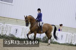 25R13_13440 thumbnail