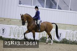 25R13_13441 thumbnail