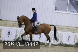 25R13_13442 thumbnail