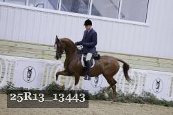 25R13_13443 thumbnail