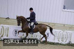 25R13_13444 thumbnail