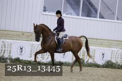 25R13_13445 thumbnail