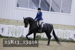 25R13_13446 thumbnail