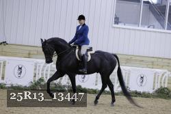 25R13_13447 thumbnail