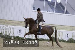 25R13_13448 thumbnail