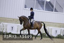 25R13_13449 thumbnail