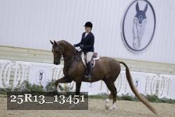 25R13_13451 thumbnail