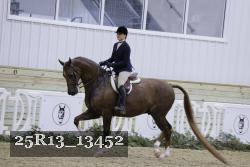 25R13_13452 thumbnail