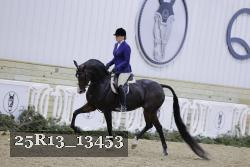 25R13_13453 thumbnail