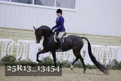25R13_13454 thumbnail