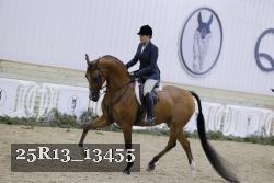 25R13_13455 thumbnail