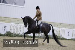 25R13_13456 thumbnail
