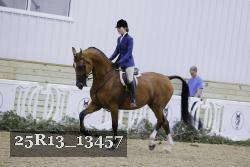 25R13_13457 thumbnail