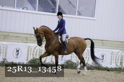 25R13_13458 thumbnail