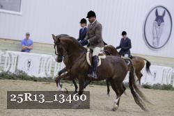 25R13_13460 thumbnail