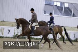 25R13_13461 thumbnail