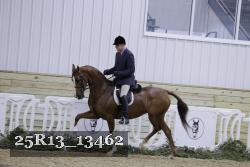 25R13_13462 thumbnail