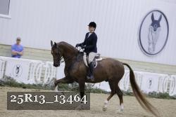 25R13_13464 thumbnail