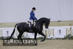 25R13_13465 thumbnail