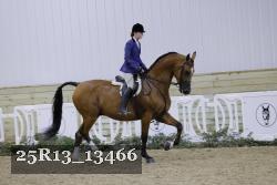 25R13_13466 thumbnail