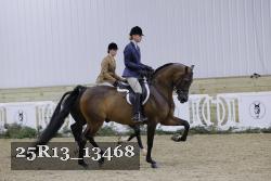 25R13_13468 thumbnail