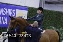 25R13_13473 thumbnail